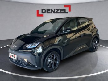 BYD