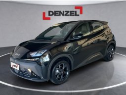 BYD