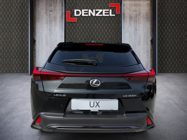 Bild 10: Lexus UX 300h F-Sport Design