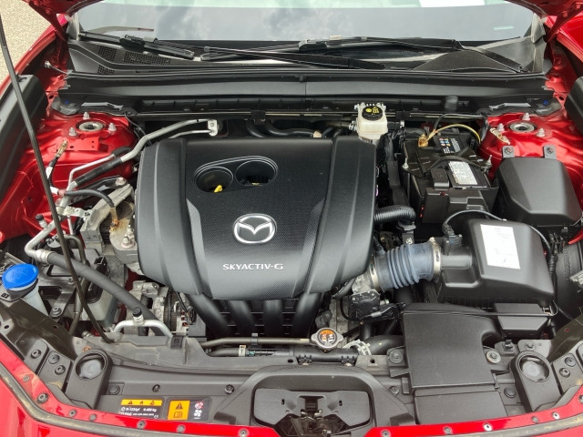 Bild 13: Mazda CX-30 G122 Comfort+/
