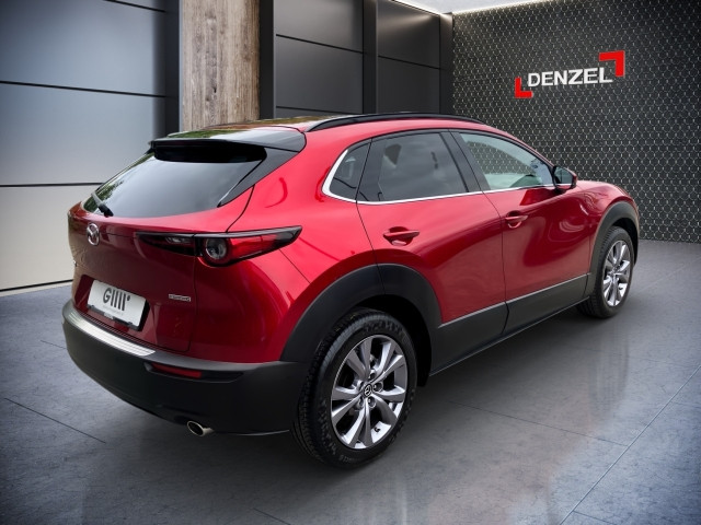 Bild 3: Mazda CX-30 G122 Comfort+/