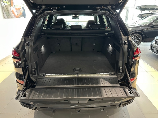 Bild 1: BMW X5 xDrive50e G05 XB1
