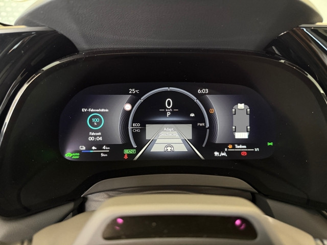 Bild 14: Lexus RX 450h+ Luxury