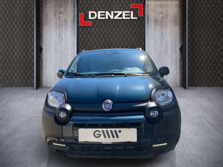 Bild 12: Fiat Panda 4x2 FireFly Hybrid 70 Pandina