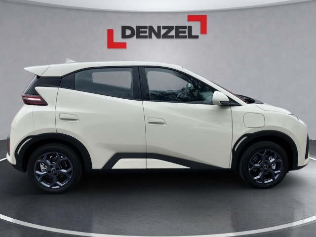 Bild 4: BYD Dolphin Surf Boost