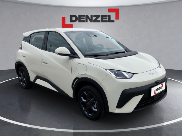 Bild 5: BYD Dolphin Surf Boost