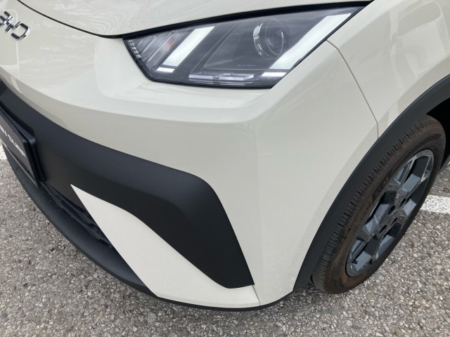 Bild 6: BYD Dolphin Surf Boost