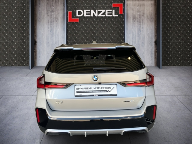 Bild 10: BMW X1 xDrive 20d U11 B47
