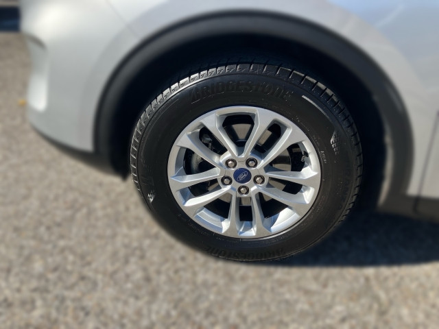 Bild 4: Ford Kuga 1,5 EcoBlue Titanium Aut