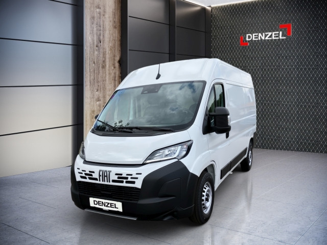 Bild 1: Fiat Transporter 295 2.2 DS