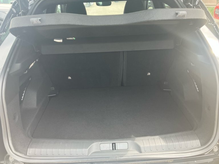 Bild 12: Alfa Junior Ibrida 1.2 136 MHEV FWD