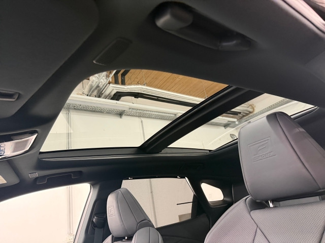 Bild 14: Lexus RX 500h F SPORT 371PS