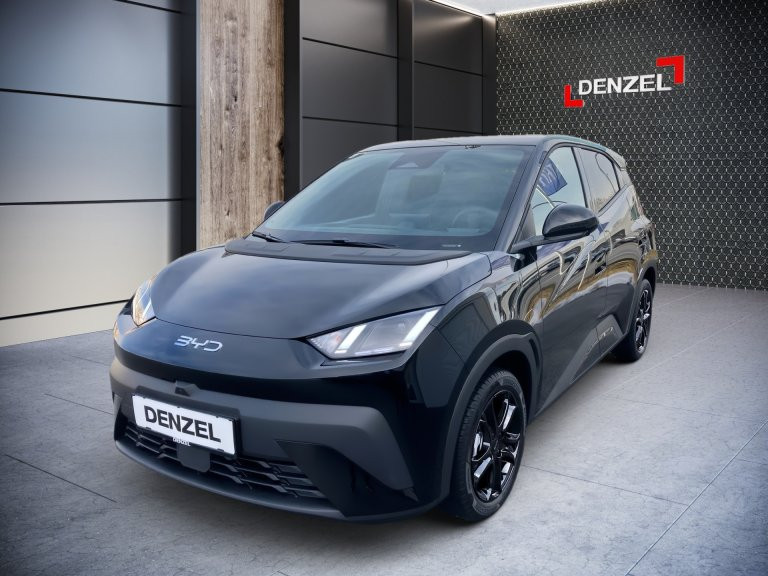 Bild 1: BYD Dolphin Surf Comfort