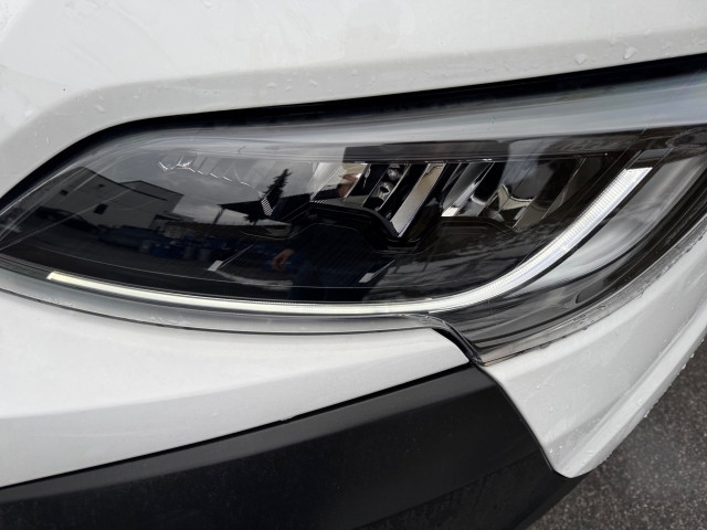 Bild 11: Toyota ProMax D140PS Kawa Prowork L2H2 35 MT