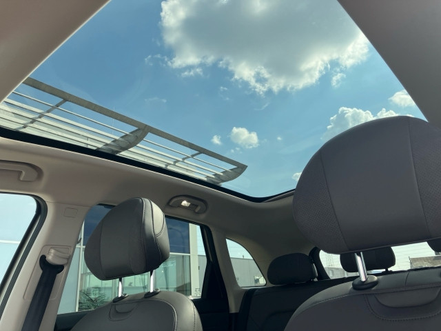 Bild 13: MG S6 Luxury 4WD 77kwh/299kw Österreich Paket EV/PHEV