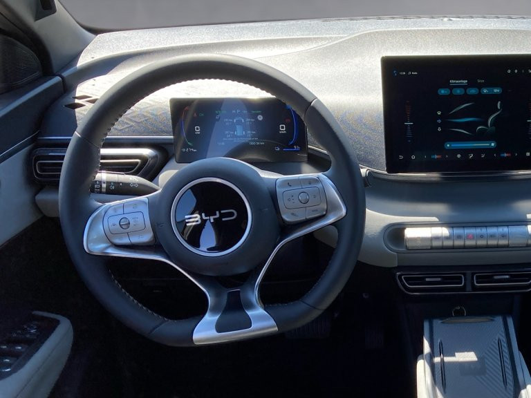 Bild 9: BYD Dolphin Surf Comfort