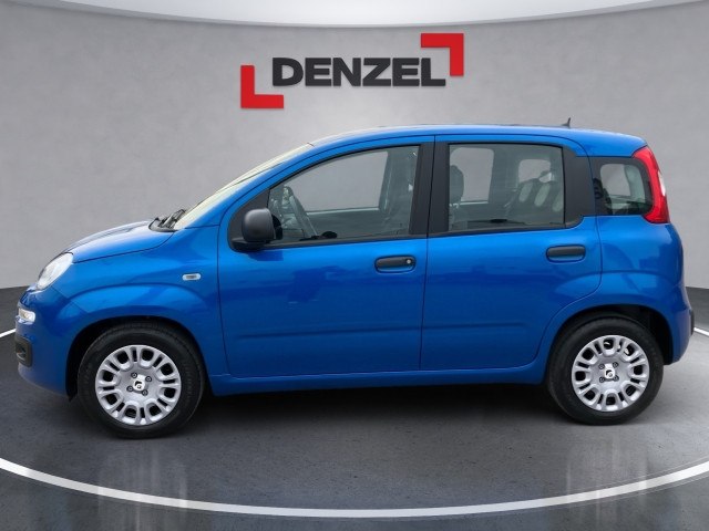 Bild 1: Fiat Panda/Pandina MY25