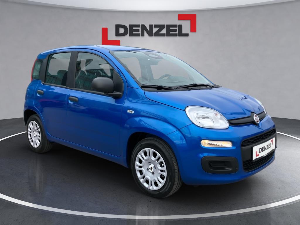Bild 5: Fiat Panda/Pandina MY25