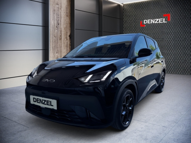 Bild 0: BYD Dolphin Surf Boost