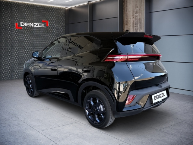 Bild 1: BYD Dolphin Surf Boost