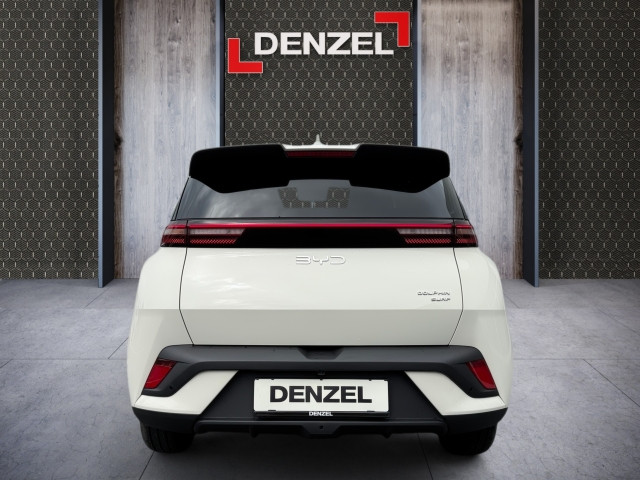 Bild 8: BYD Dolphin Surf Boost