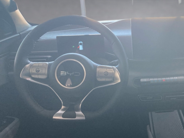 Bild 9: BYD Dolphin Surf Boost