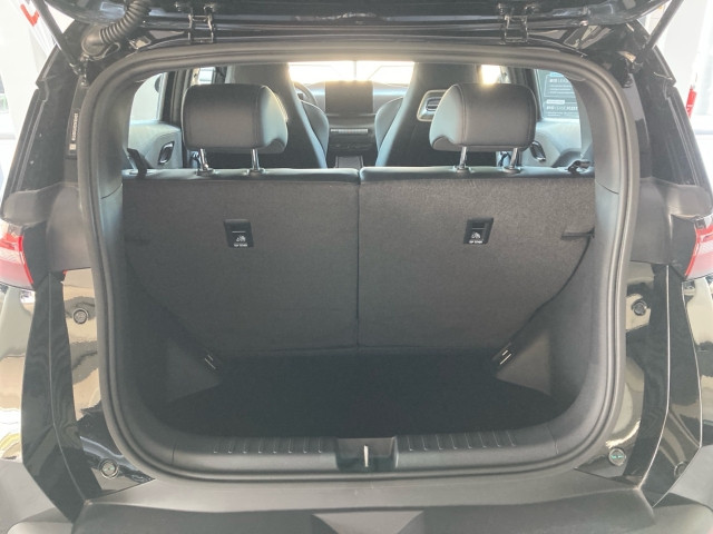 Bild 12: BYD Dolphin Surf Boost