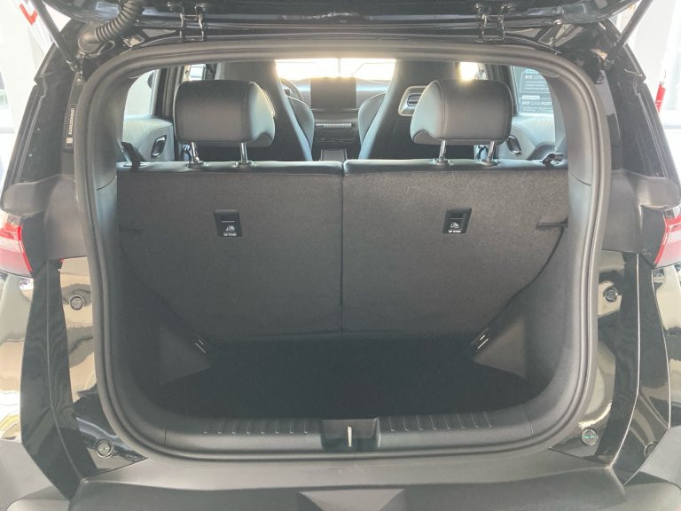 Bild 12: BYD Dolphin Surf Boost