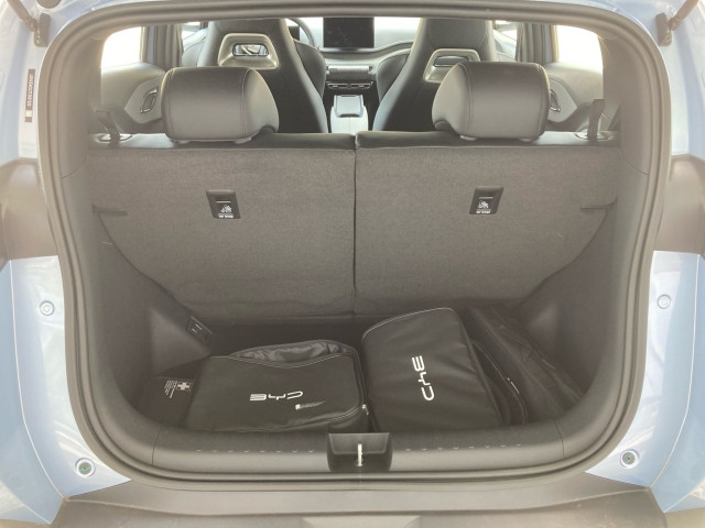 Bild 12: BYD Dolphin Surf Boost
