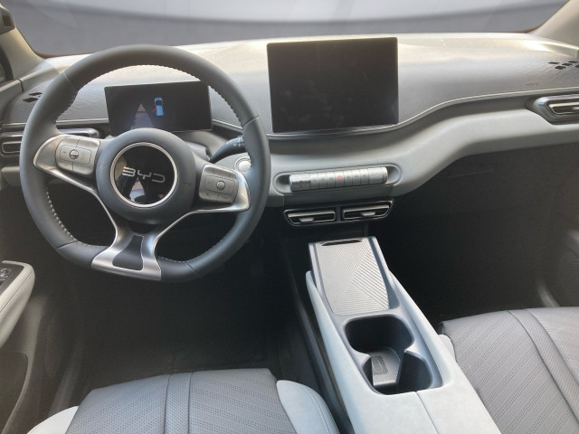 Bild 8: BYD Dolphin Surf Boost