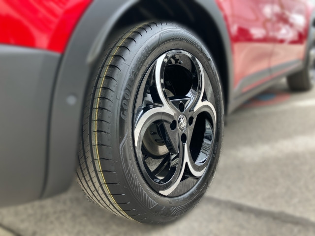 Bild 4: Alfa Junior Ibrida Speciale 1.2 136PS MHEV FWD