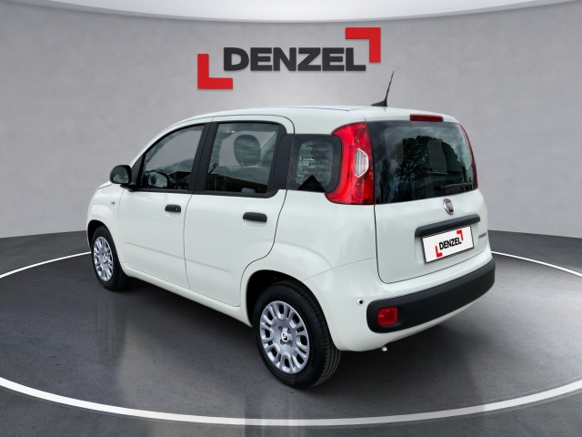 Bild 2: Fiat Pandina Icon