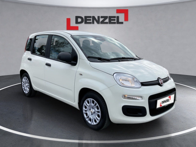 Bild 4: Fiat Pandina Icon