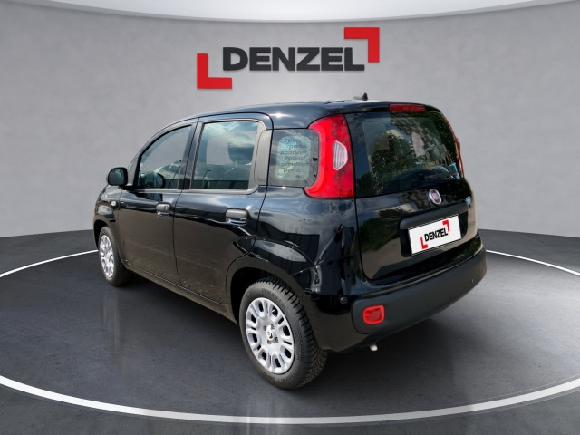 Bild 2: Fiat Pandina Icon MY25