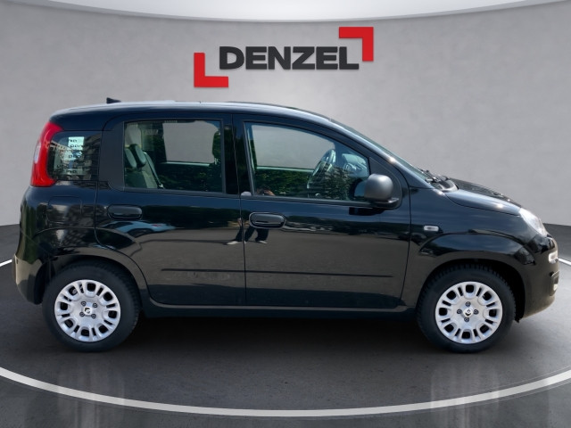Bild 4: Fiat Pandina Icon MY25