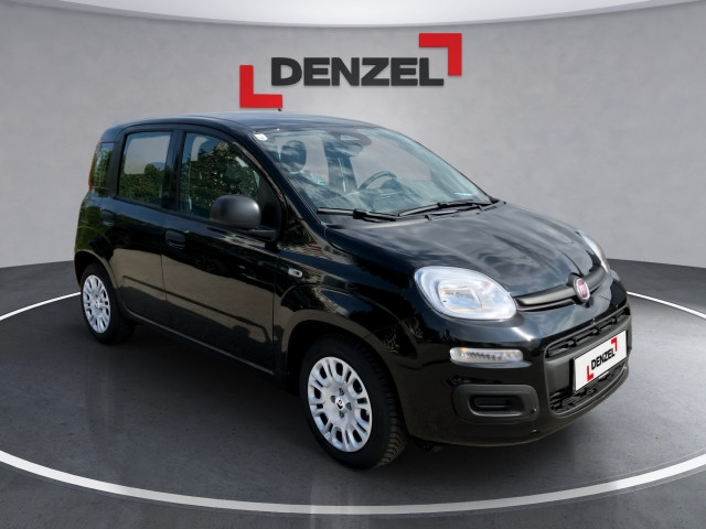 Bild 5: Fiat Pandina Icon MY25