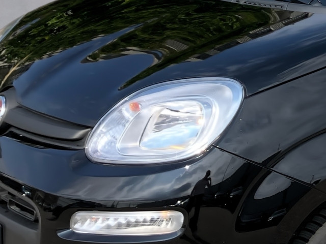 Bild 6: Fiat Pandina Icon MY25