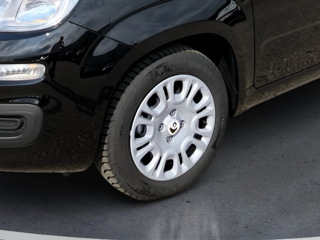 Bild 7: Fiat Pandina Icon MY25