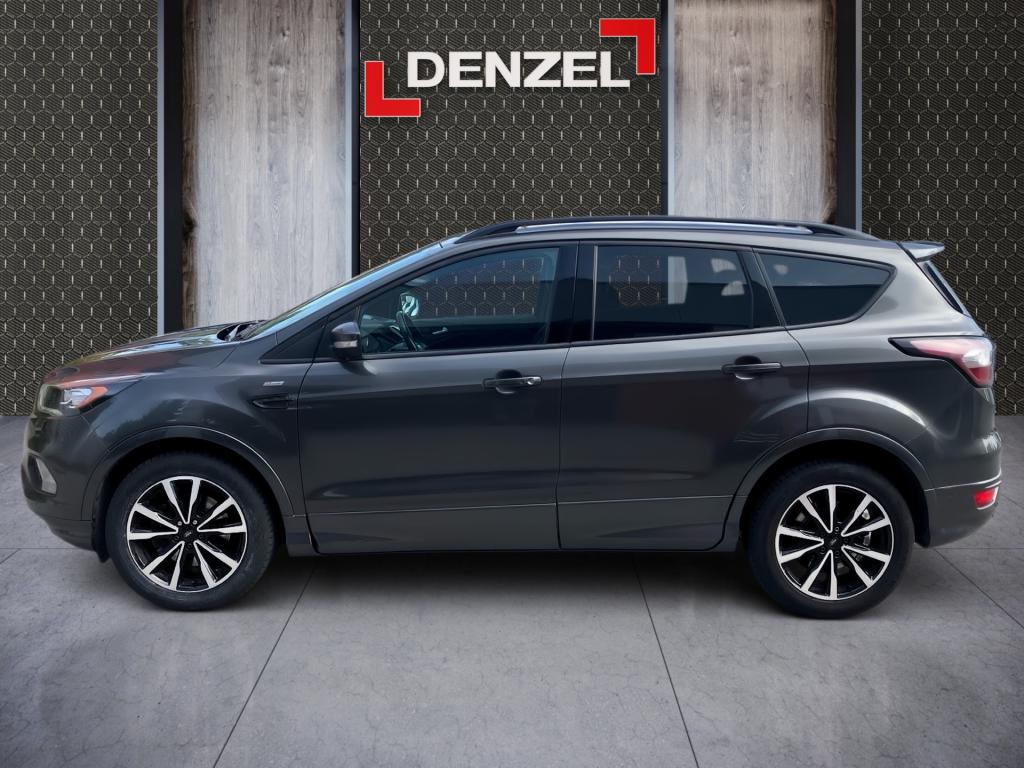 Bild 1: Ford Kuga 1,5 TDCi ST-Line Start/Stop