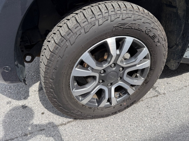 Bild 13: Ford Ranger