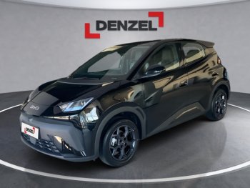 BYD