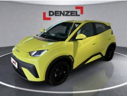 BYD